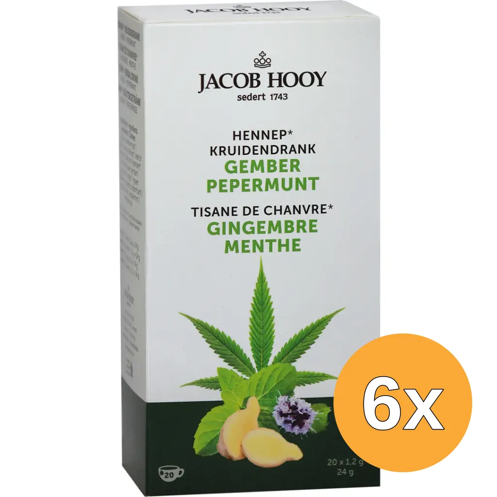 6x Jacob Hooy Hennep Gember Pepermunt Thee (20 stuks)