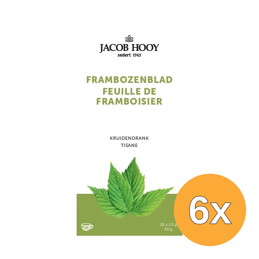 6x Jacob Hooy Frambozenblad (20 zakjes)