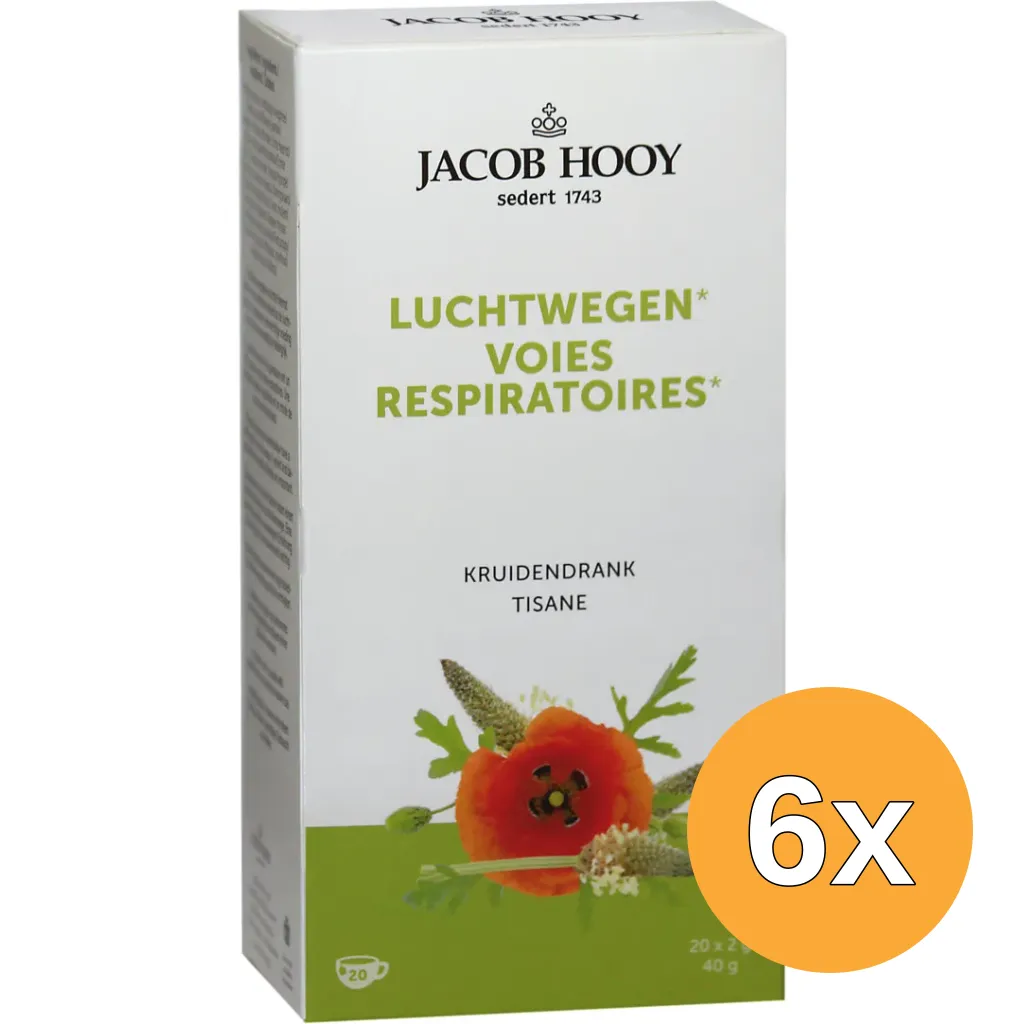 6x Jacob Hooy Gezonde Luchtwegen Thee (20 stuks)