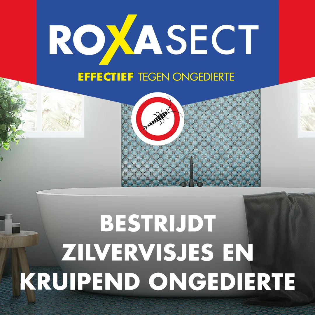 Roxasect Zilvervisjesval (2 stuks)