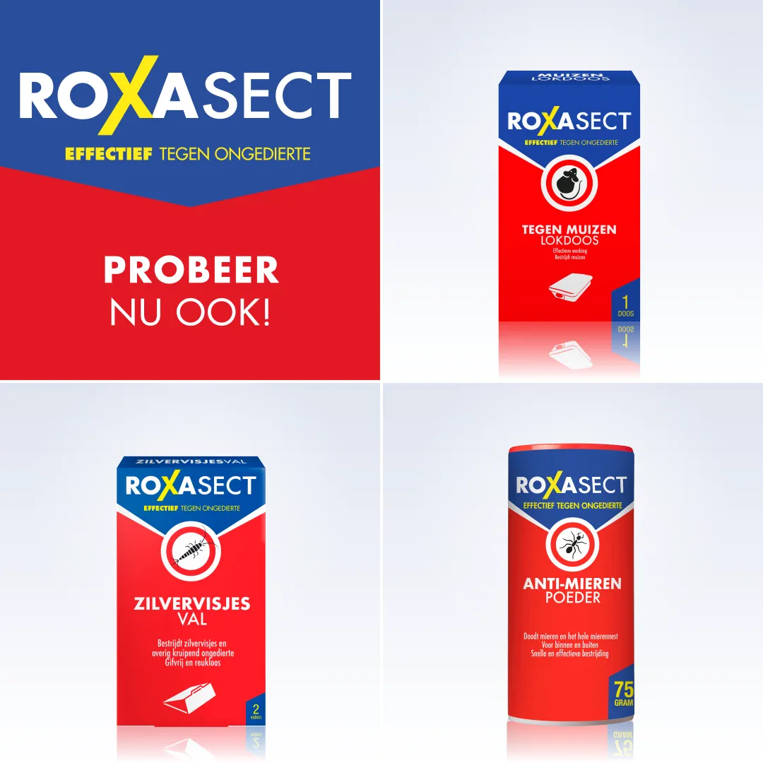 Roxasect Mierenloktoren (2 stuks) - image 5