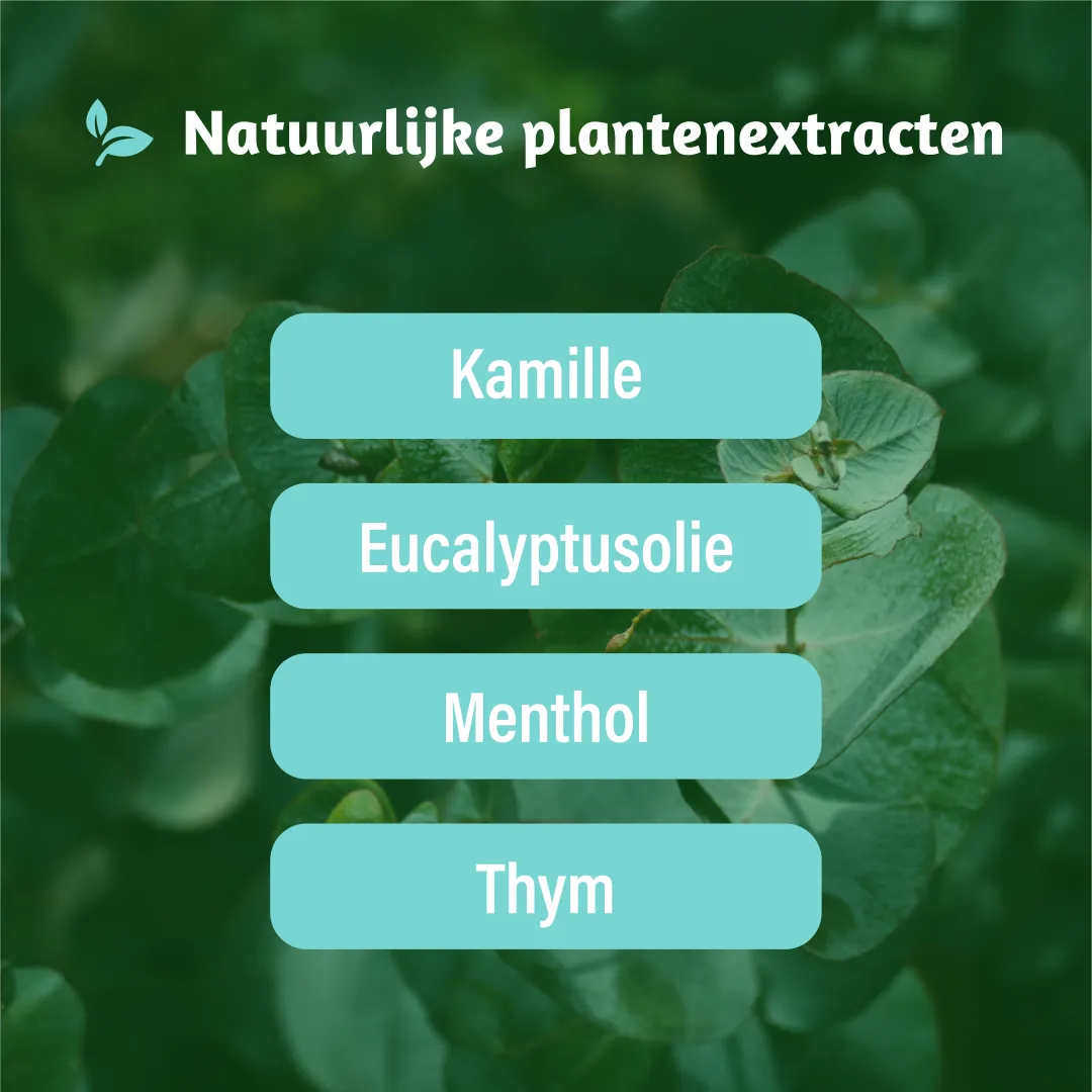 Dampo Ademvrij pastilles (24 stuks) - image 3