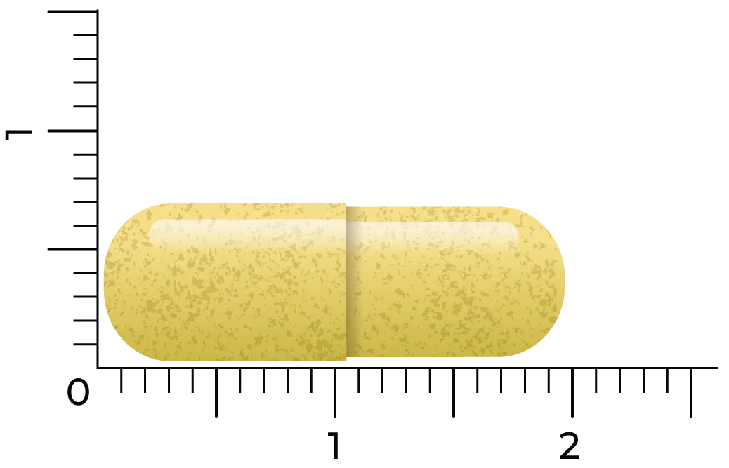 Vitakruid Quercetine 250 Quercefit® Phytosome®-Technologie (60 vega capsules) - image 4