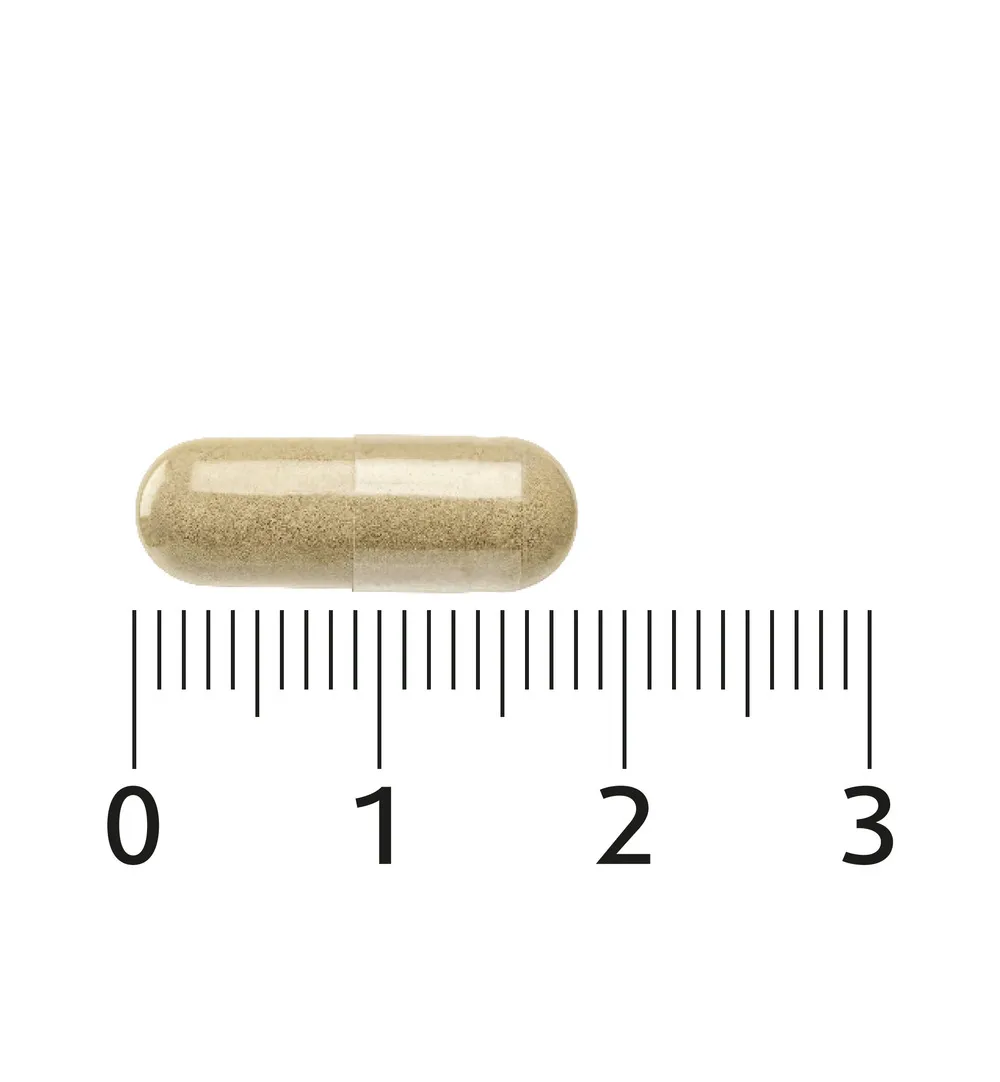 Lucovitaal Scutellaria 2000mg (30 capsules) - image 4
