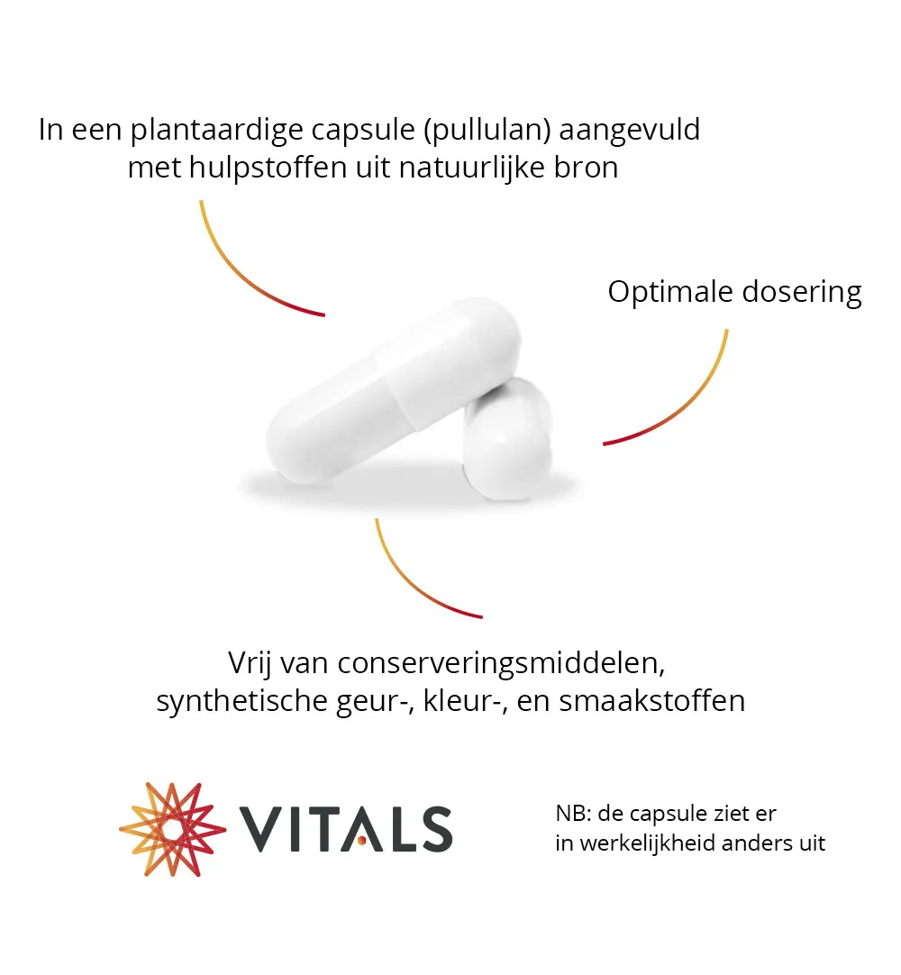 Vitals Quercetine-PS (60 capsules) - image 5