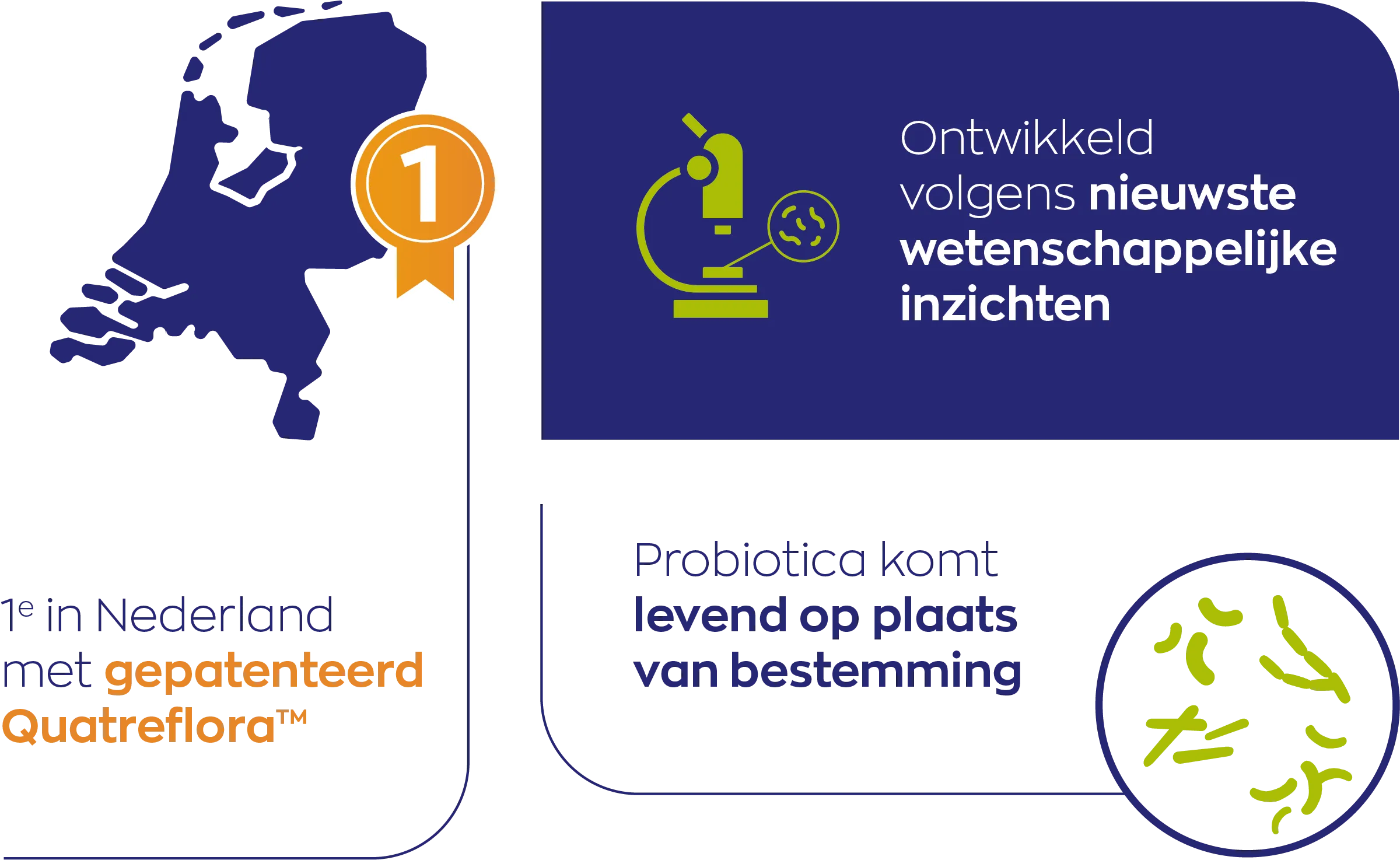 Vitakruid Symflora® Femme Probiotica voor Vrouwen (90 vega capsules) - image 3
