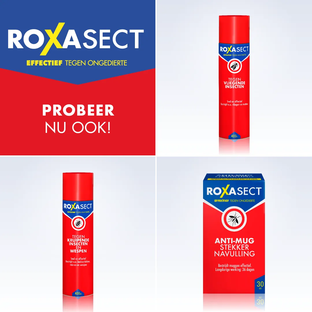 Roxasect Anti mug stekker actieverpakking 2 navulverpakking (1 stuk) - image 5