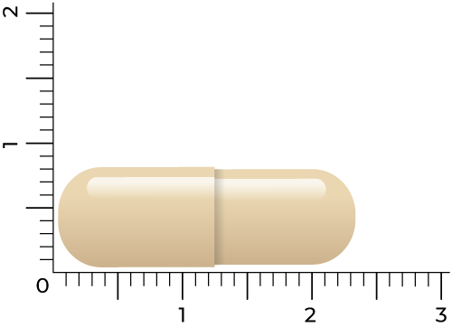 Vitakruid Energiecomplex Groene Thee (60 vega capsules)