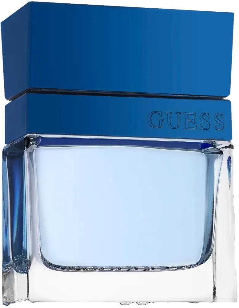 Guess Seductive Homme Blue Eau De Toilette (100 ml) - image 2
