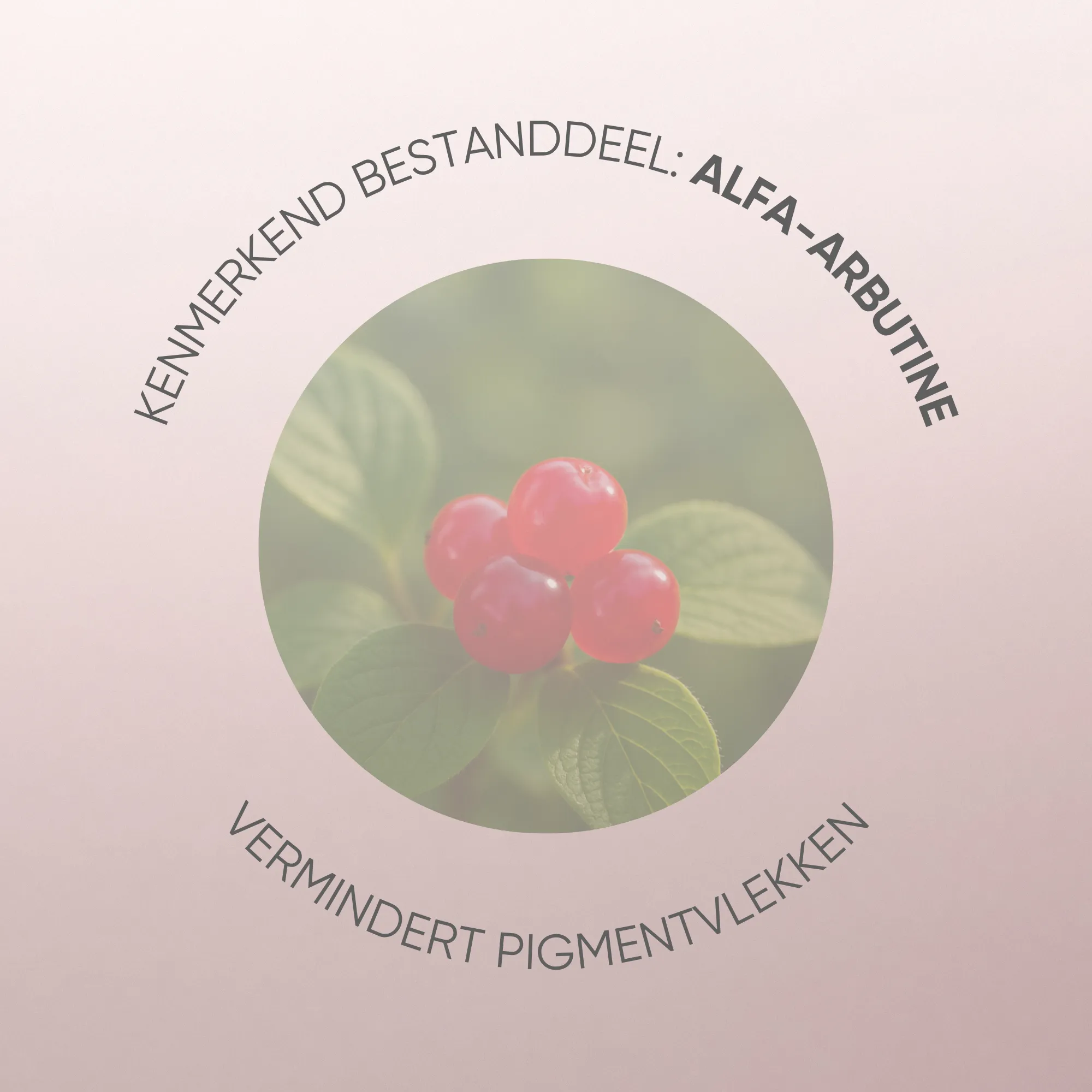 Louis Widmer Nutriderm Pigmacare® Dagcrème Uv 50+ zonder Parfum (50 ml) - image 6
