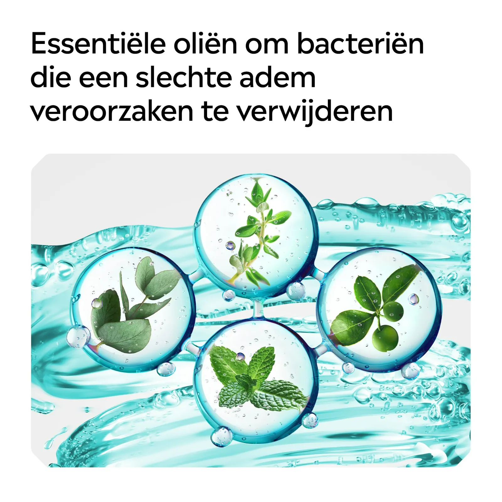 Listerine Mondwater Coolmint Mild (80 ml) - image 3