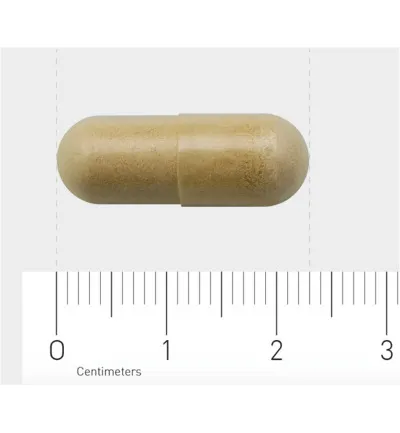 Aov 822 Propolis 600Mg (60 vega capsules) - image 3
