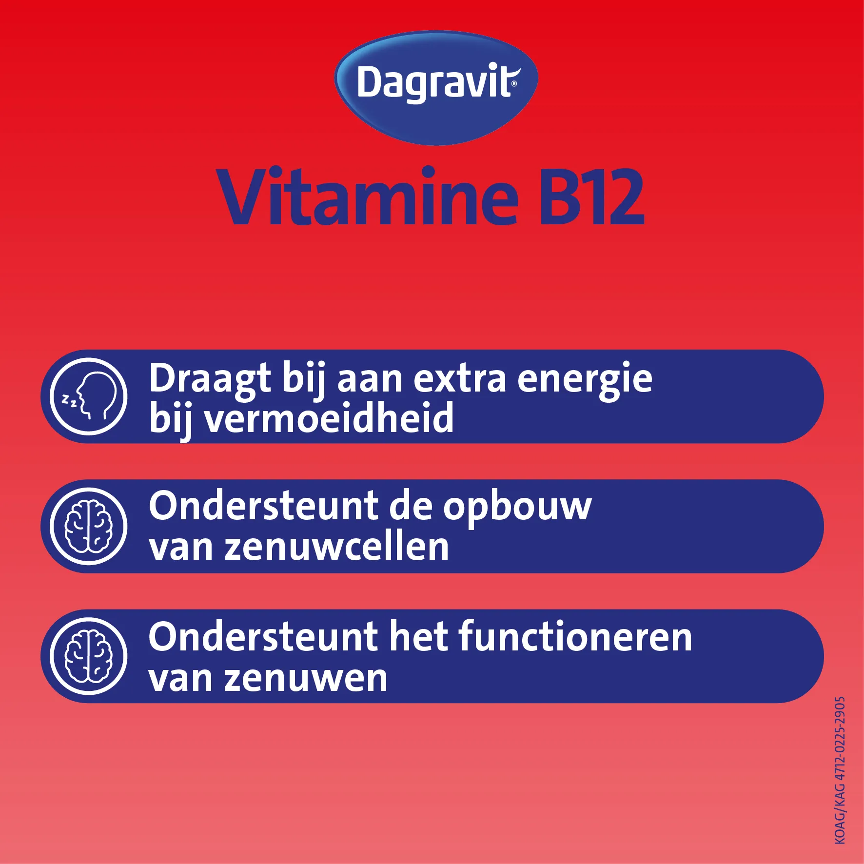Dagravit Vitamine B12 1000mcg  (100 smelttabletten) - image 2