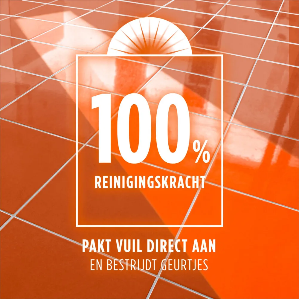 Ajax Allesreiniger Fete Des Fleurs Perzik (1000 ml)